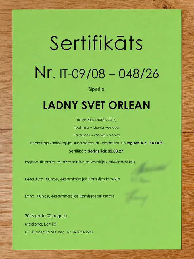 Kanisterapijas sertifikāts Nr. IT-09/08 – 048/26 šiperkei Ladny Svet Orlean
