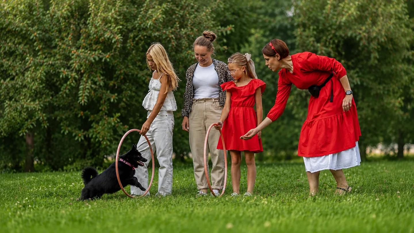 Šiperke suns pārlaižas caur hula hop gredzenu bērnu ballītes laikā pļavā